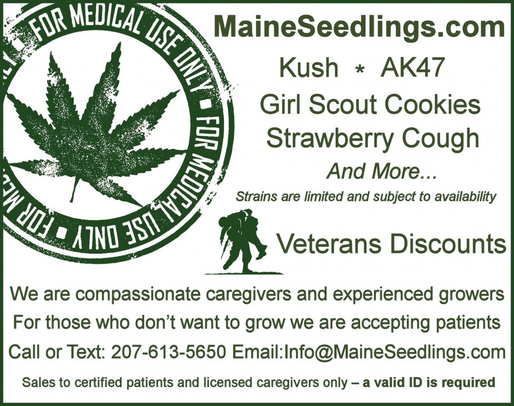 Maine Medical Marijuana