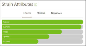 Medical Marijuana Clones