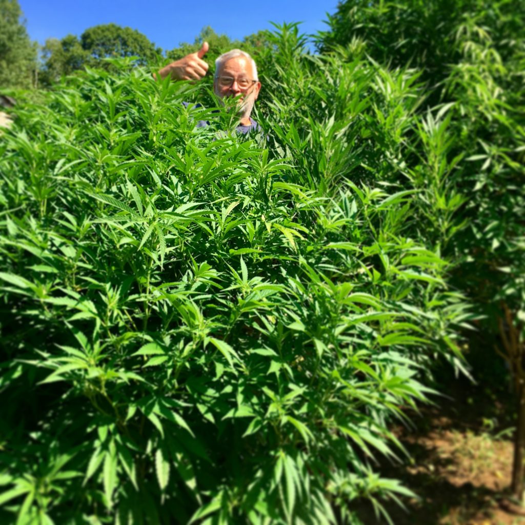 Maine Marijuana