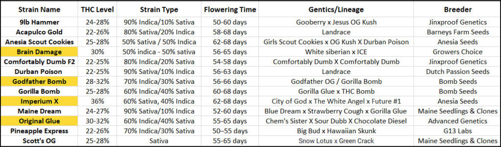 Maine Marijuana Seedlings & Clones, your best source of cannabis clones and a best of the 207 winner!