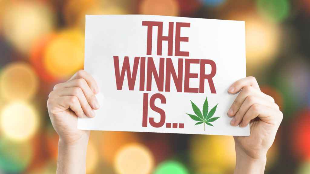 Maine Marijuana Seedlings & Clones a best of the 207 winner!