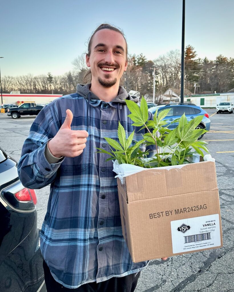 Maine Marijuana Seedlings & Clones a best of the 207 winner!