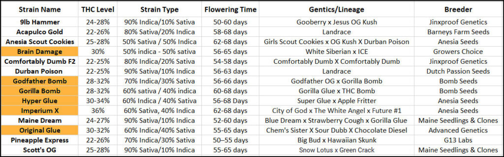 Maine Marijuana Seedlings & Clones a best of the 207 winner!