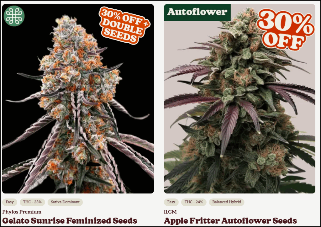 MaineClones.com the best of the 207 winner for best cannabis clones!