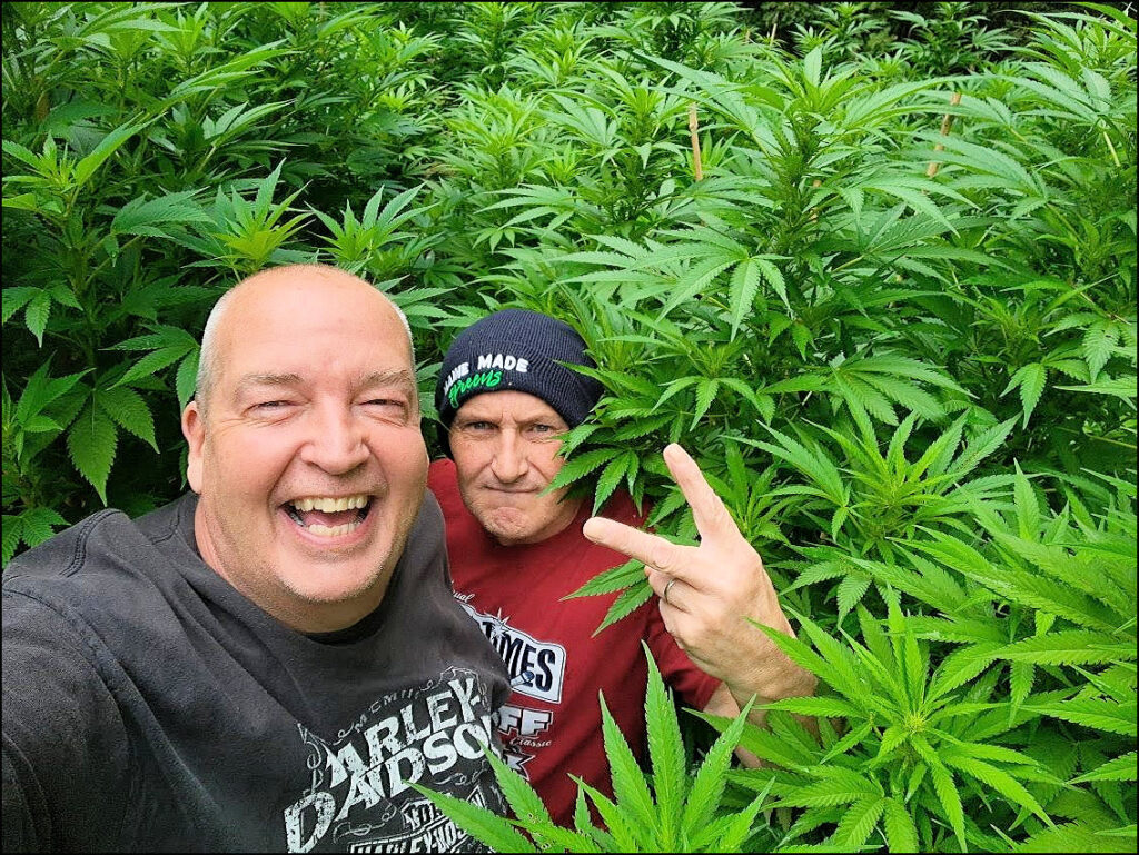 Maine Marijuana Seedlings & Clones a best of the 207 winner!